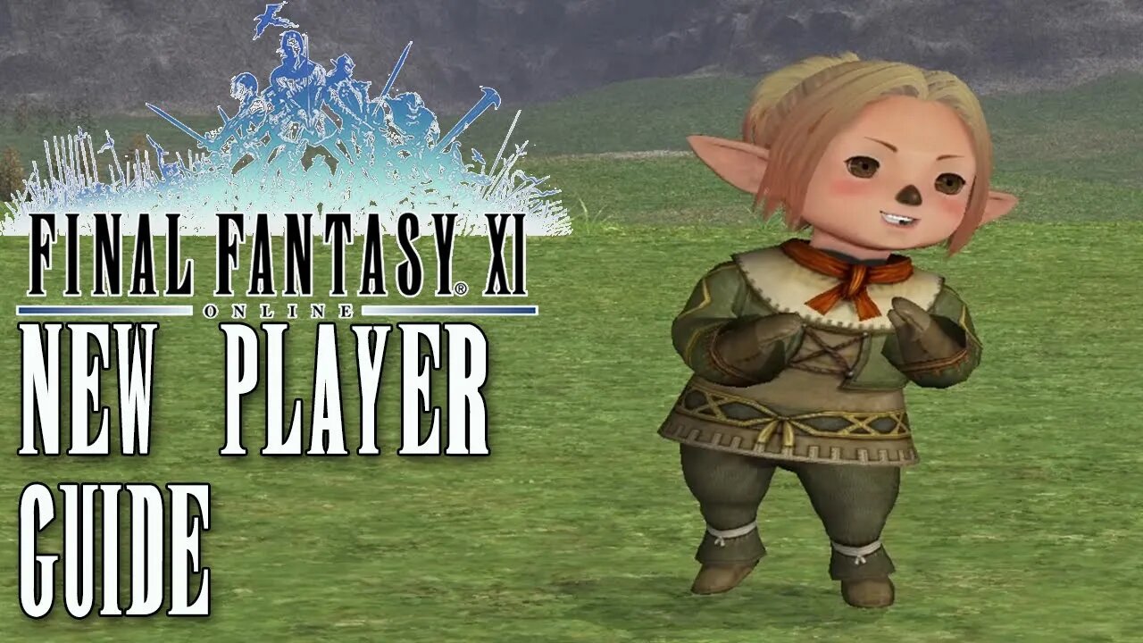 FFXI New Player Guide Part 1 The Basics