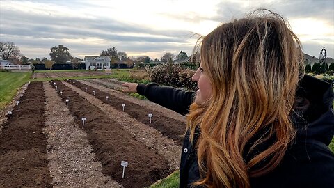 Planting Lots of Daffodils & Tulips in the Cut Flower Garden! 🌷🙌✂️