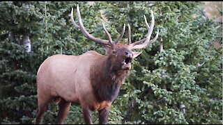 Rocky Mountain National Park Fall of 2017