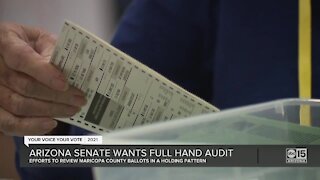 Arizona senate wants full hand audit