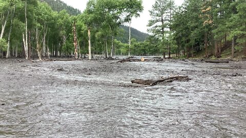 Black fire backburn flooding destruction to inholding