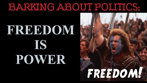 Barking About Politics: Freedom Is Power