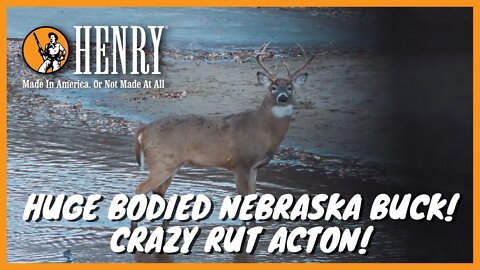 Huge bodied Nebraska buck! Crazy whitetail rut action!
