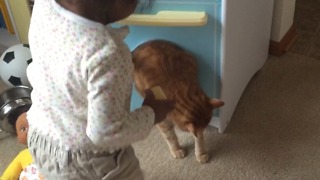 A Cat Gets Stuck In A Play-Kitchen Door