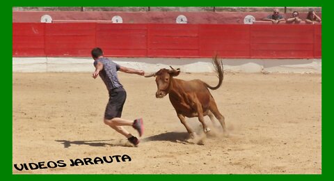 CORELLA ( NAVARRA ) MATINAL VACAS PLAZA ( SABADO 2 JULIO 2022 ) JUAN JOSE LAPARTE