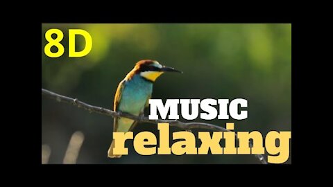 🎧8D-Music RELAXING nature sound birds-meditation,calm,peace audio 8D