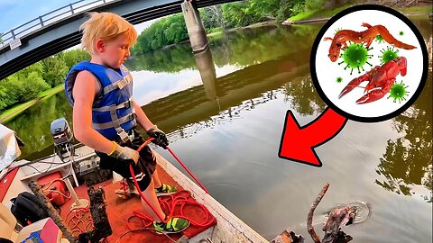 Giant Magnets Grabbed LIVING Animals & Organisms While Magnet Fishing!