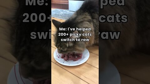 My cat is "too picky"