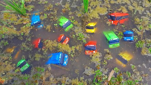 Mencari dan Menemukan Mainan Bus Tayo, Lani, Gani dan Rogi Yang Terendam Lumpur dan Tumbuhan Air