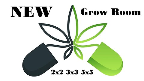 Building My Dream Grow Room: Setting Up the Perfect Growing Environment