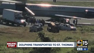 Arizona dolphins moved to St. Thomas