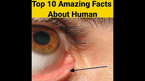 top 10 amazing facts// facts// amazing facts