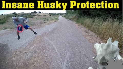 *Warning* Siberian Husky Protecting Owner Caught On Video | Dog Loyalty video
