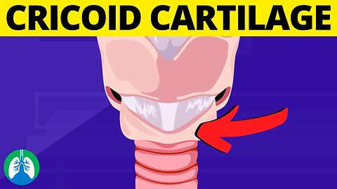 Cricoid Cartilage (Medical Definition) | Quick Explainer Video