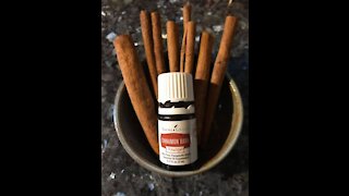 Cinnamon Bark Helps With Your Appetite