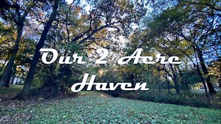 Our 2 Acre Haven - Fall Leaves