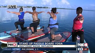 Stand up paddle board yoga in Matlacha Live Hit 08:00a