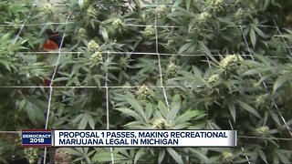 Proposal 1 passes in Michigan legalizing recreational marijuana