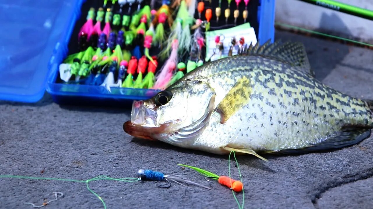 Double Jig Crappie Rig & Hand Tied Hair Jigs (30 day challenge ep.4)