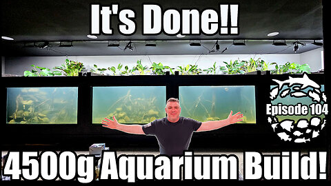 It's Done! The 4500g, 33ft Long DIY Amazon Xingu River Aquarium is Live!