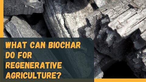 Phosphorus Removal is a Hot Topic for Farmers. What Can Biochar do for Regenerative Agriculture?