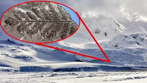 280 MILLION Year Old FOREST Discovered In Antarctica