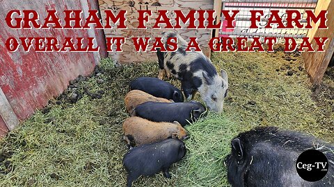 Graham Family Farm: Overall it was a Great Day