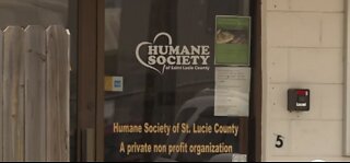 Best Friends Animal Society creates plan to help Humane Society of St. Lucie County become "no-kill" shelter