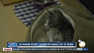 San Diego Humane Society holds annual Day of Giving