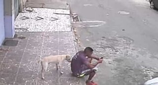 Dog mistakes man for fire hydrant