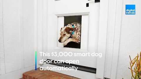 This $3,000 smart dog door opens automatically