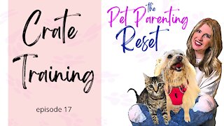 Crate Training Your Dog Why To Train & Why NOT To Train | The Pet Parenting Reset, episode 17