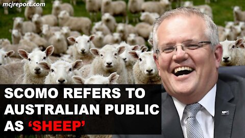 Scomo refers to Australian public as 'sheep'