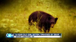 5-year-old girl suffers serious injuries in Colorado bear attack