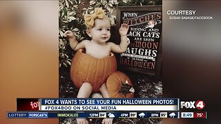 Fox 4 Boo - Susan Savage