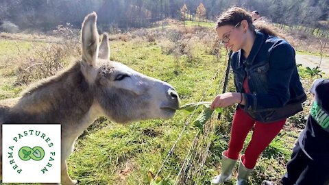 Kid Friendly Farm Activities