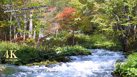 Tribal Flute & Piano Music || Calming Music with silent scenic views || Healing Music