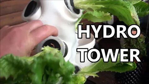 Vertical Horizons 1.5m Hydroponics Growing Tower - Vertical Gardening Made Easy