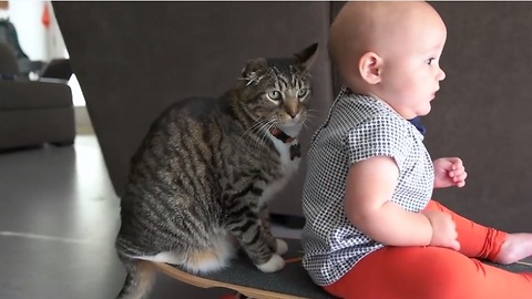 Baby and cat enjoy precious skateboard ride together