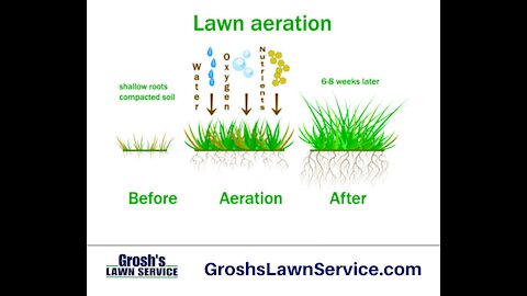 Lawn Aeration Falling Waters WV Lawn Care Service