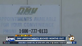 DMV appointments booked months out