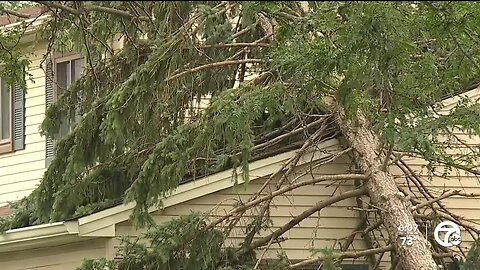 Southeast Michigan littered with twisted trees, mangled metal and snapped power lines in storms' wake
