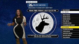 Breaking it Down with Brittney - Bucks Moon