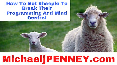 How To Get Sheeple To Break Their Programming And Mind Control 💥 PENNEY 🌟