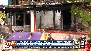 Family dog dies in fire Wednesday night in Pasadena