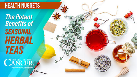 The Truth About Cancer: Health Nugget 59 - The Potent Benefits of Seasonal Herbal Teas