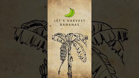 Let's Harvest Bananas🍌 #shorts #youtube video ideas #Shorts