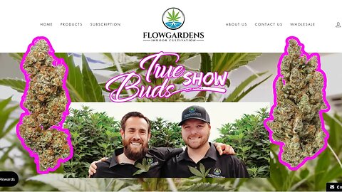 Flow Gardens Emerald Cup Winner 2022 Alternative Cannabinoid Hemp Flower @TrueBudsShow