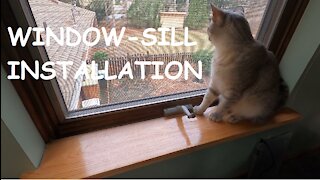 Window sill for Bunky cat