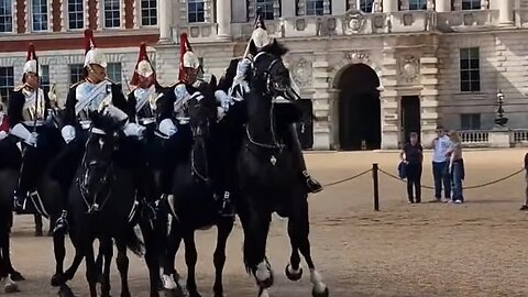 One horse won't hold the line changing of the old guard for the new guard #horseguardsparade